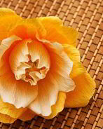 Английская роза из конфет