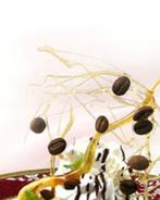 Кофейное мороженое по-французски