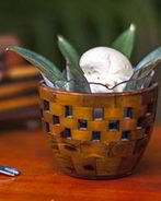 Кокосовое мороженое