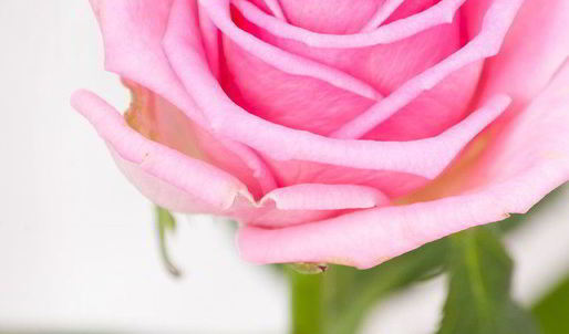 малиновый мусс с ароматом розы