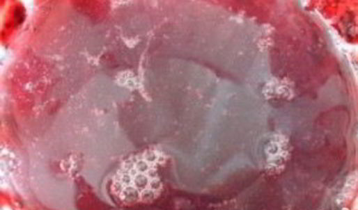 смородиновый мусс