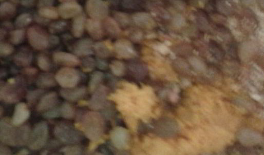 кулич пасхальный на желтках с шафраном