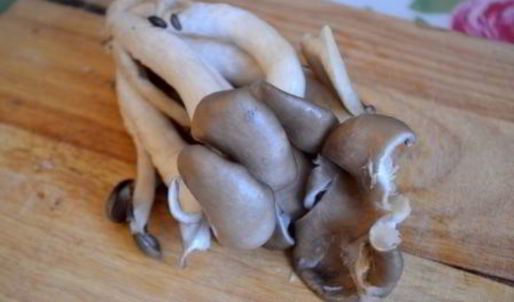 суфле из поленты с вешенками