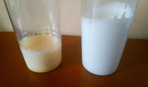 бисквит для тирамису