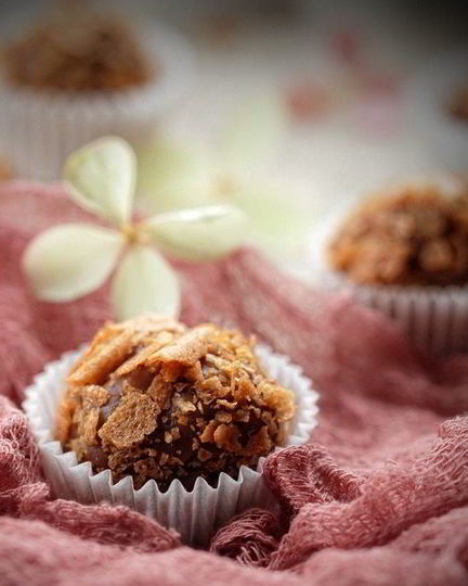 Рецепт трюфелей с абрикосовым пюре, курагой и ромом