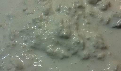 драники, запеченные с грибами и мясом под сырным соусом