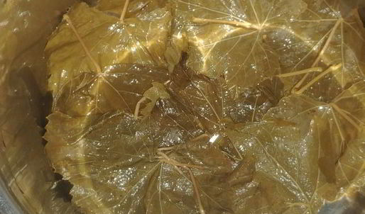 азербайджанская долма в виноградных листьях