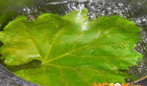 долма из говядины