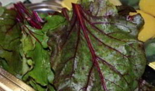 долма из свекольных листьев
