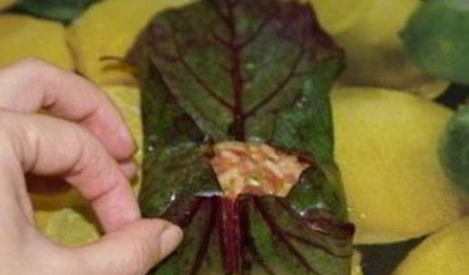 долма из свекольных листьев