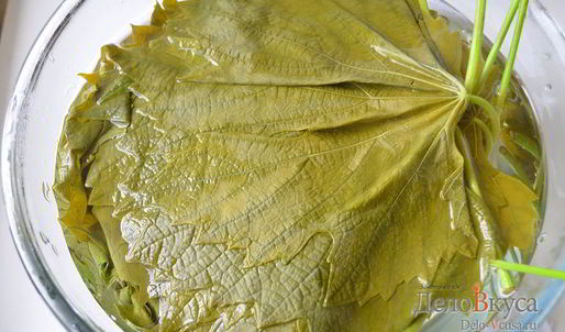 долма из виноградных листьев