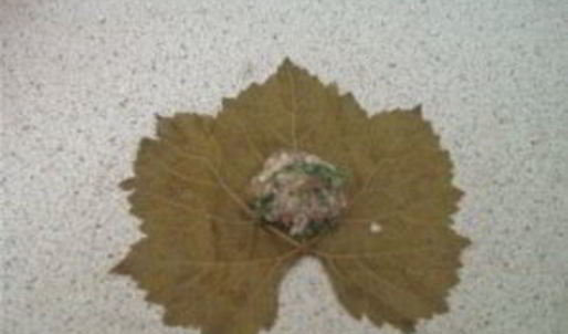 долма узбекская