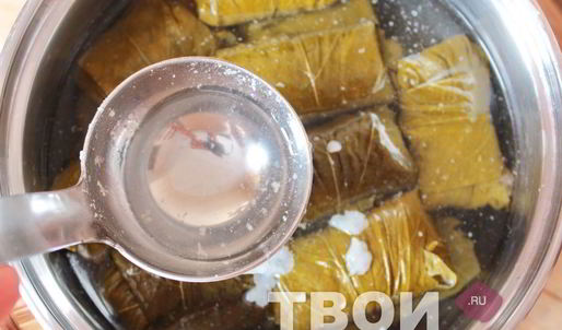 долма в виноградных листьях