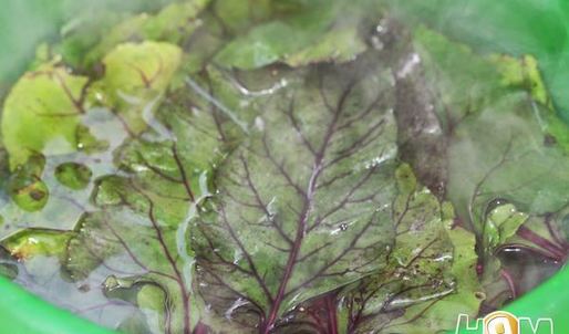 голубцы из свекольной ботвы с булгуром