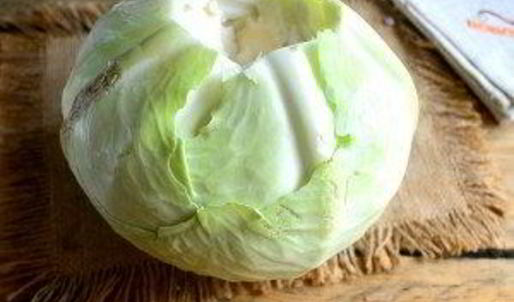 голубцы классические