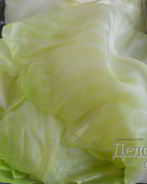 Листья капусты для голубцов