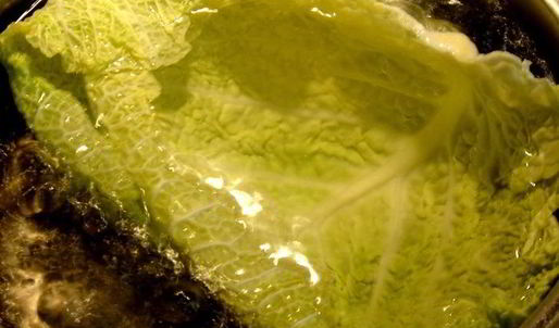 паровые голубцы