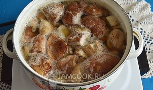 белые грибы в сметане