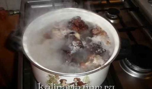 грибы строчки