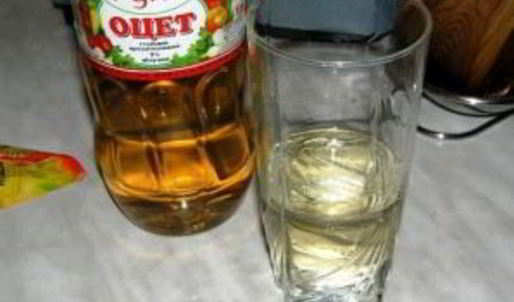 грибы закусочные