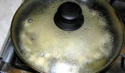 грибы закусочные