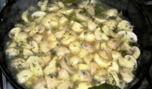 грибы закусочные