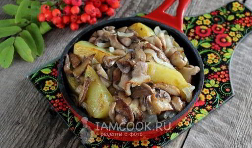 маслята жареные с картошкой