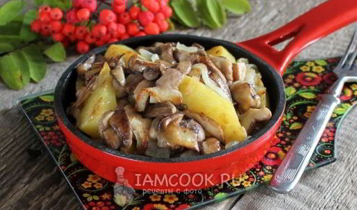 маслята жареные с картошкой