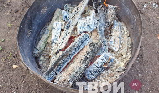 шампиньоны гриль