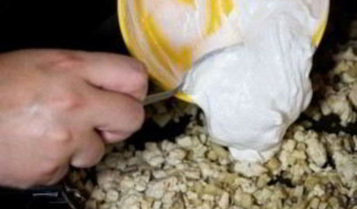 шампиньоны с курицей и сыром