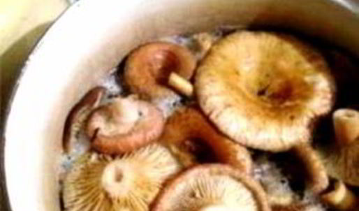 волнушки жареные