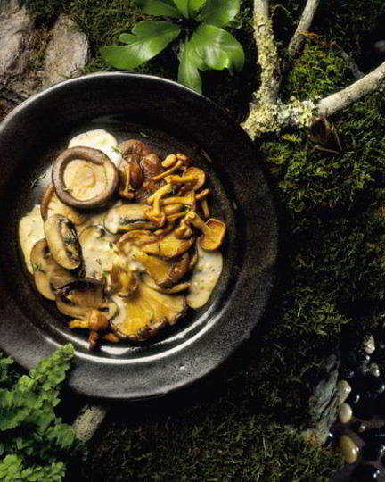 Рецепт жареных рыжиков