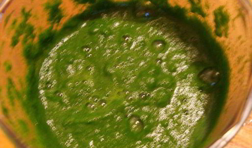 домашняя зеленая лазанья