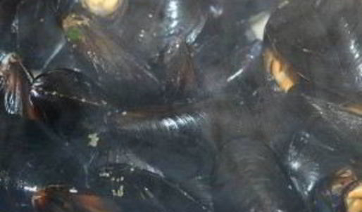 черная паста с морепродуктами