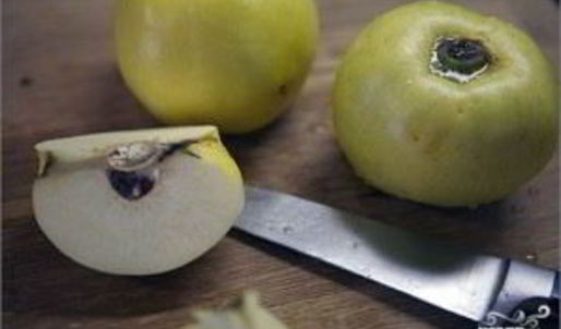 дикий гусь в духовке