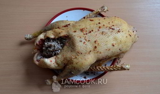 фаршированный гусь