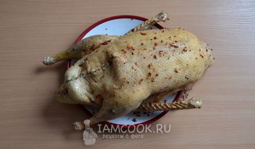 фаршированный гусь