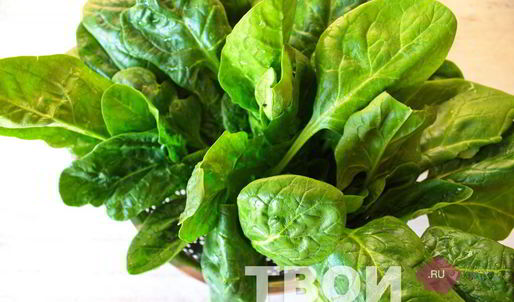 куриная грудка со шпинатом