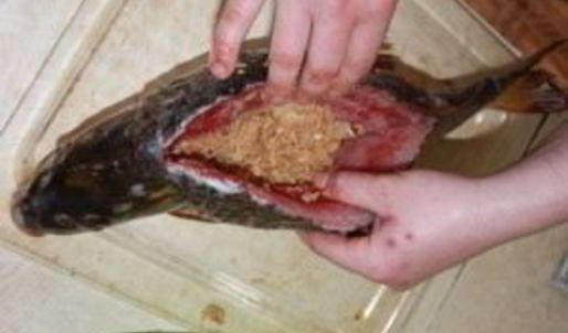 сазан, фаршированный капустой и икрой