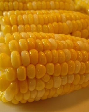 Вареная кукуруза в початках