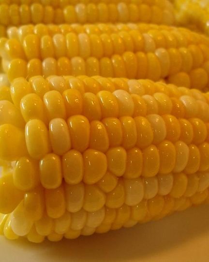 Рецепт вареной кукурузы в початках