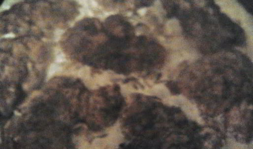 отбивные из печени со сливочно-грибным соусом