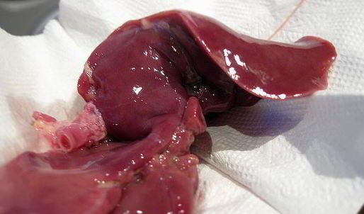 тушеная куриная печень с яблоками