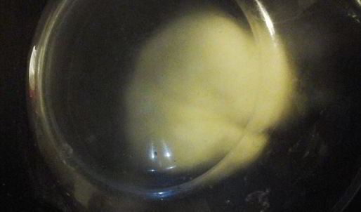 пельмени из курицы и говядины