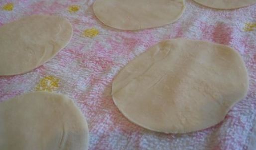 вонтоны с луком и свининой