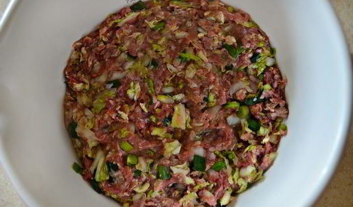 японские жареные пельмени гедза