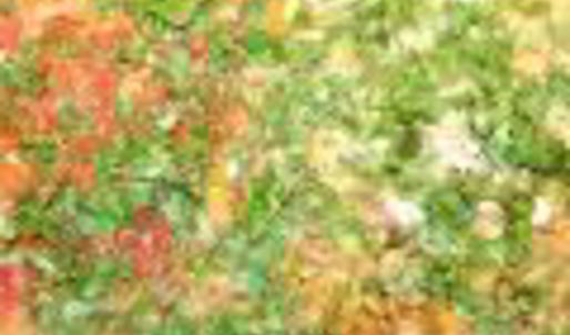 ароматный плов с чечевицей