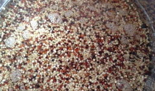 фрикасе из утки с киноа