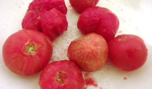 рыбное рагу