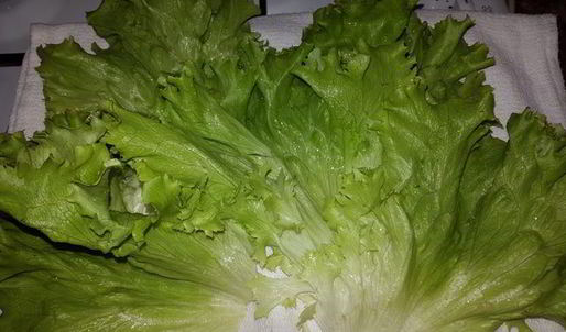 кальмары в кляре с постно-чесночным соусом